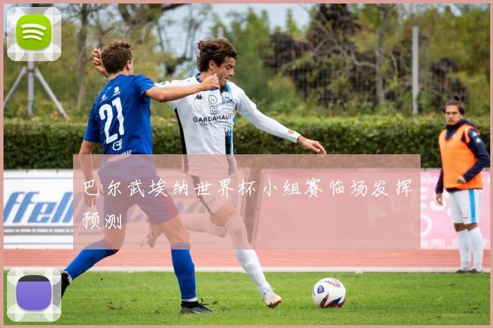 巴尔武埃纳世界杯小组赛临场发挥预测