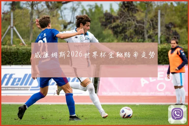威廉姆斯2026世界杯金靴赔率走势